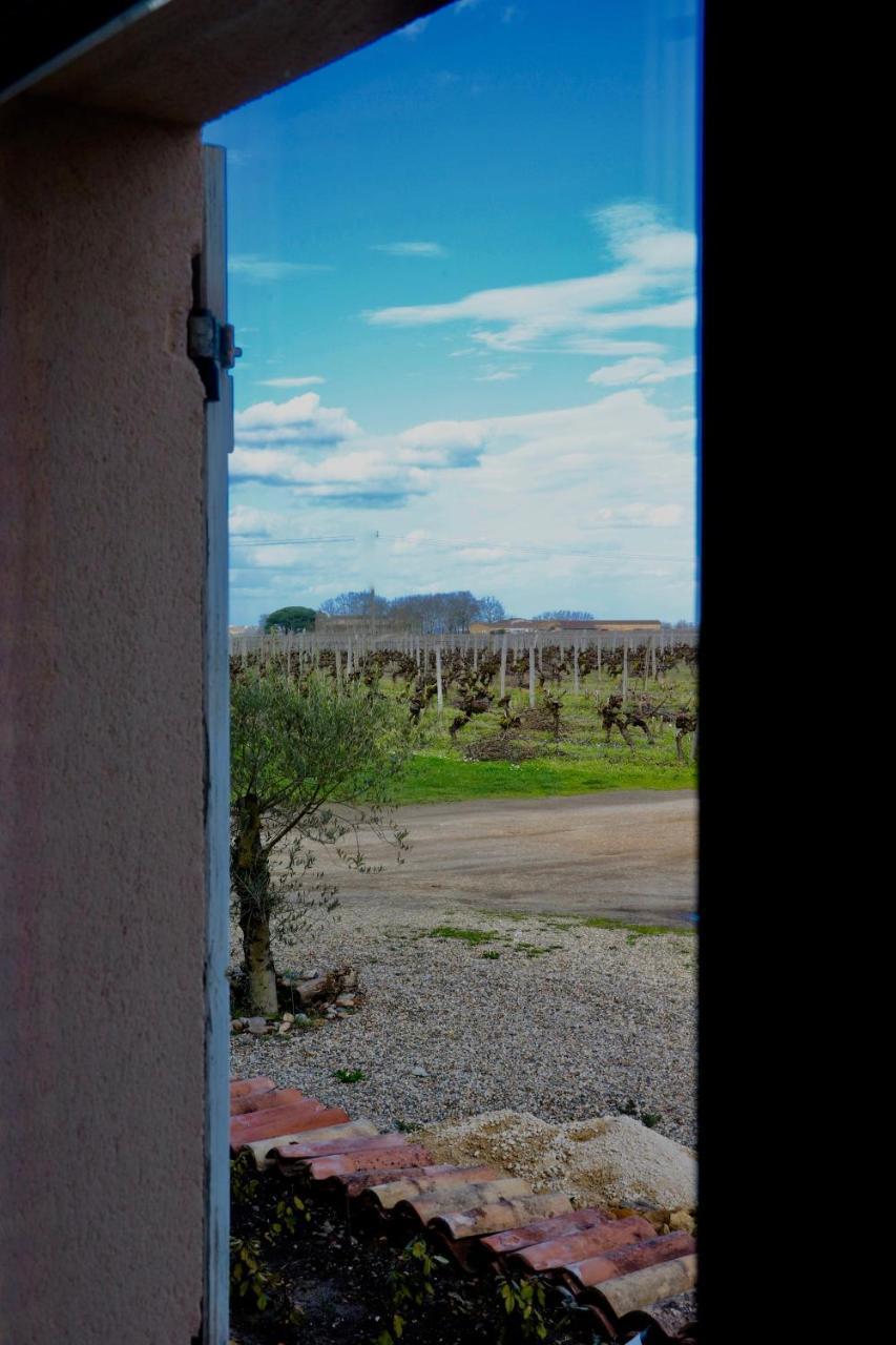 Chateau Trillon Sauternes Exteriér fotografie